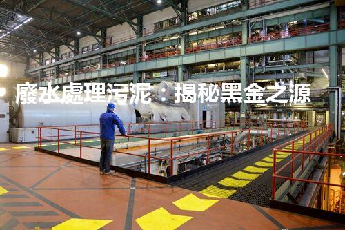 廢水處理污泥：揭秘黑金之源，你知道它們能變廢為寶嗎？